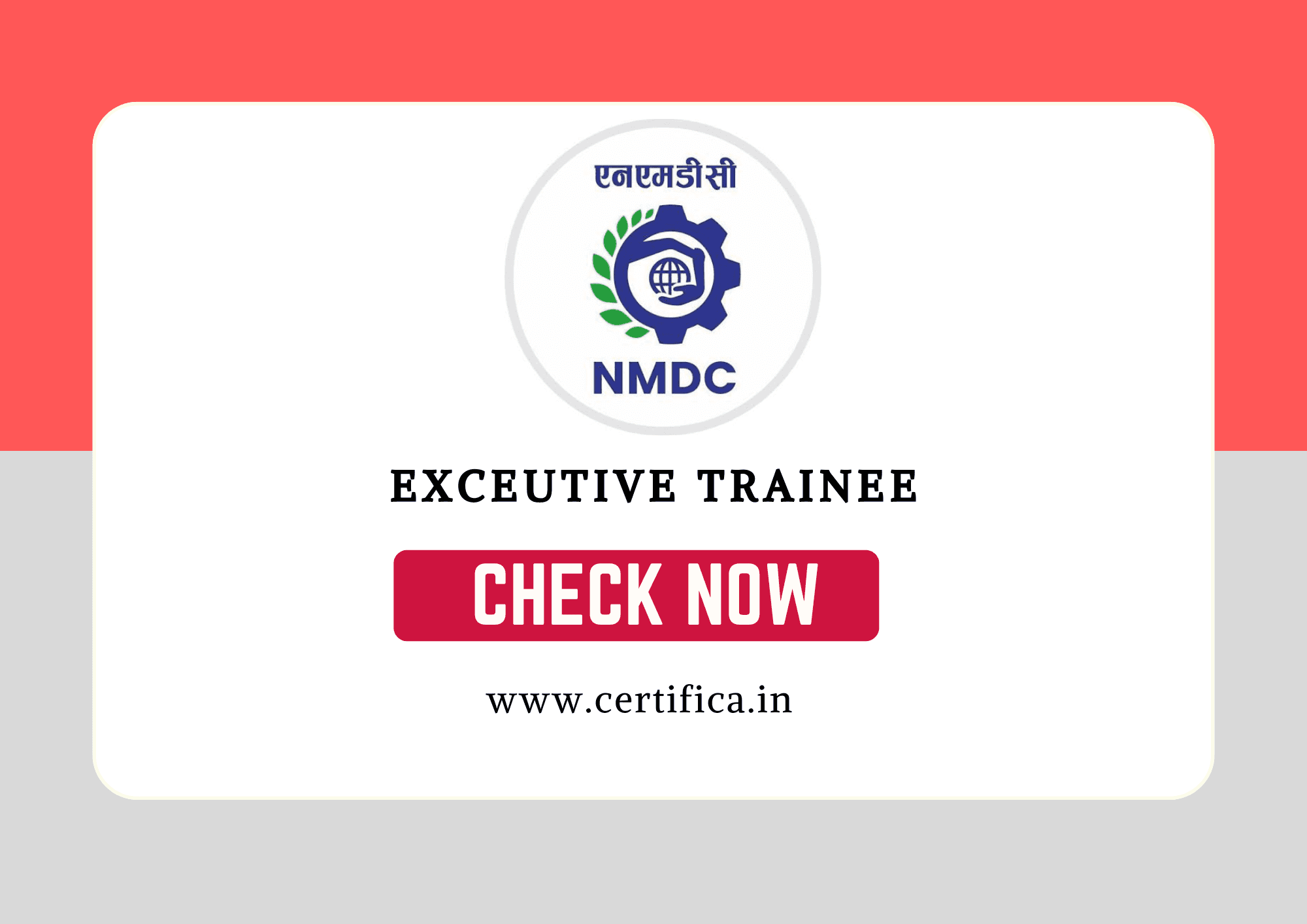 NSL Executive Trainee Recruitment 2026 — 102 Posts